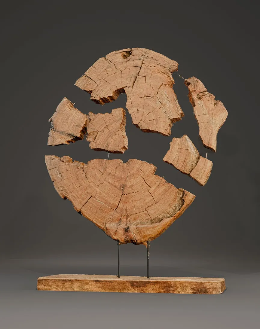 Mother Earth - View 1